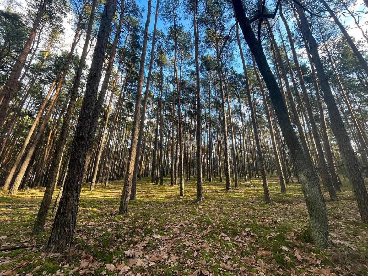 Park Rekreacyjno-Biznesowy Las Woda Wilga Exterior foto