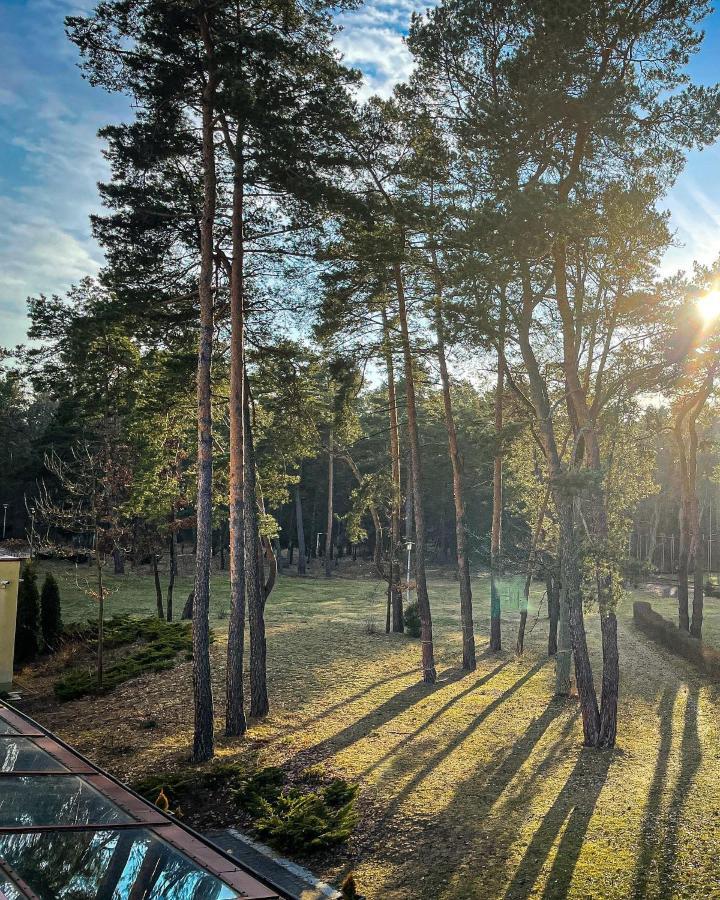 Park Rekreacyjno-Biznesowy Las Woda Wilga Exterior foto